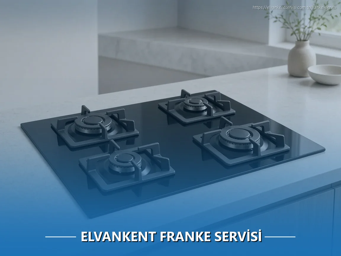 Elvankent Franke Servisi